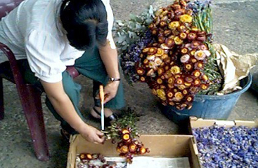 PIL-artisans-1