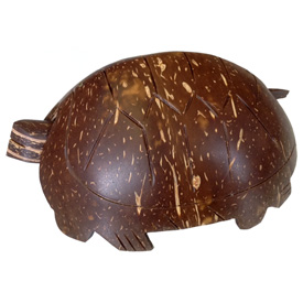 Back Bobble Head Turtle Coconut Shell from Philippines Turtle Measures - 2'' high x 5 1/4'' wide x 4 deep
