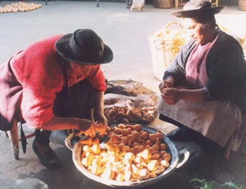 Artisans in Cochas Chico Selecting Gourds for Carving Artisans in Cochas Chico Selecting Gourds for Carving