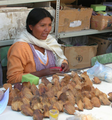 Winay artisan preparing Jacaranda Pods that will be made into Nativity Scenes