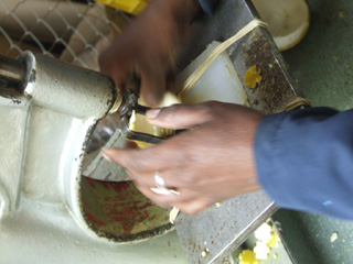 Piel Acida artisan cutting the orange peel