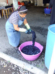 Artisan from Las Azulinas in El Salvador Dyeing Cloth with Indigo